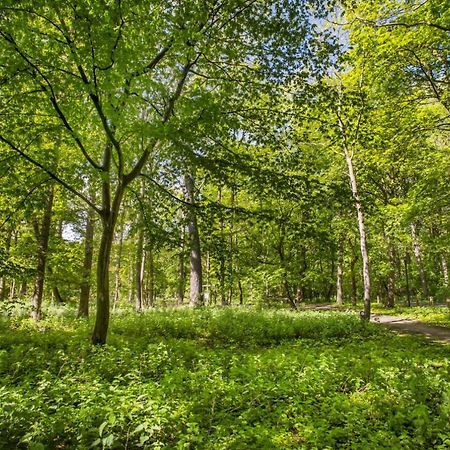 Villa Calmeyn De Panne Dış mekan fotoğraf